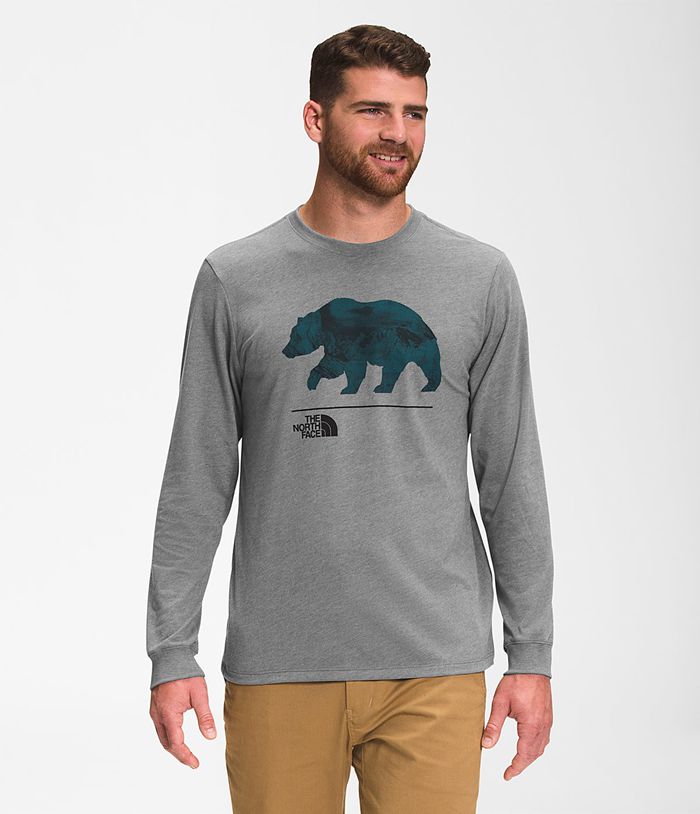 The North Face T-Shirts Heren Bearscape Lange Mouw IOTW74962 - Grijs